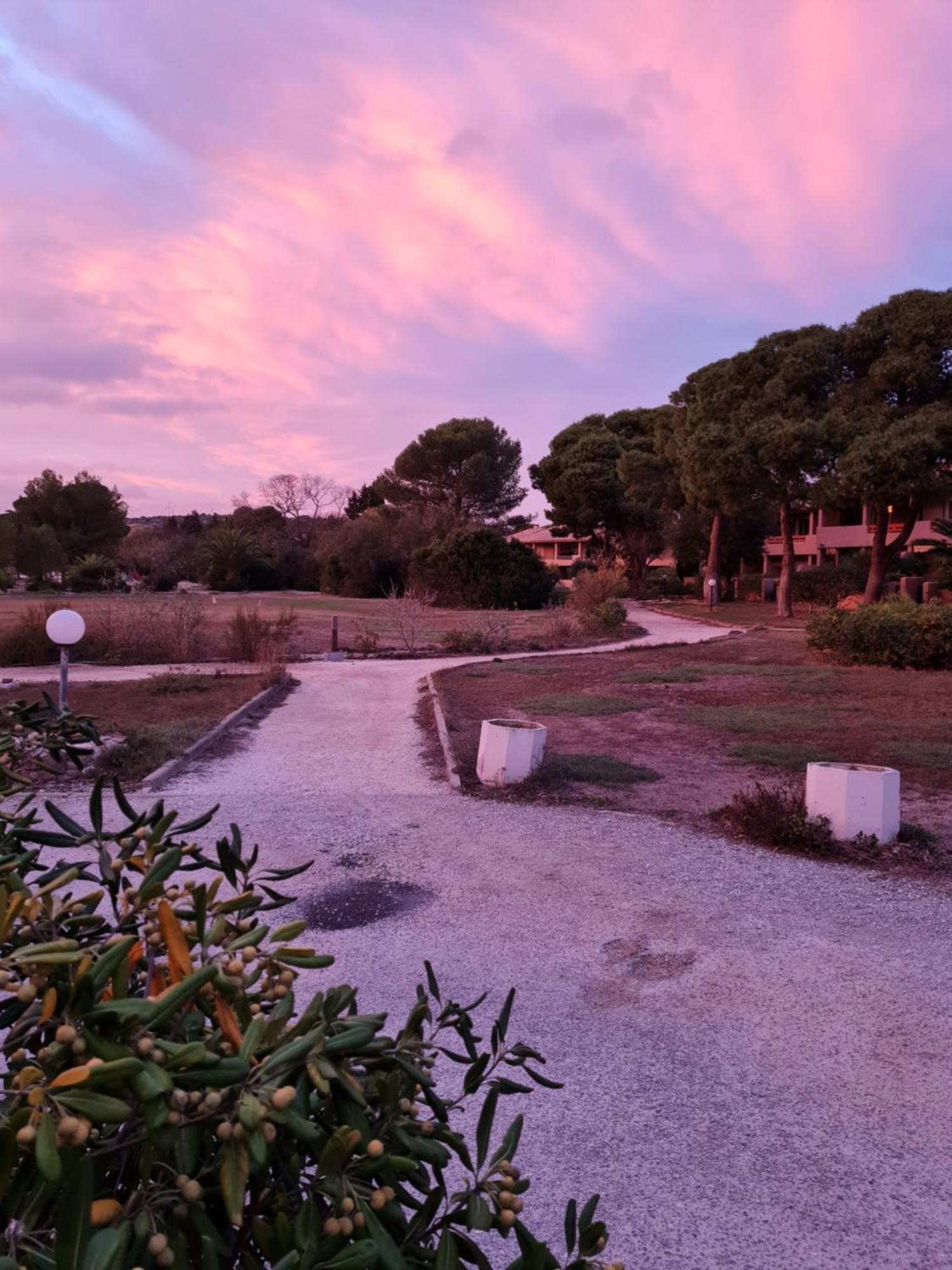 Paisible Maison A L'Ombre Des Pins Fitou Εξωτερικό φωτογραφία