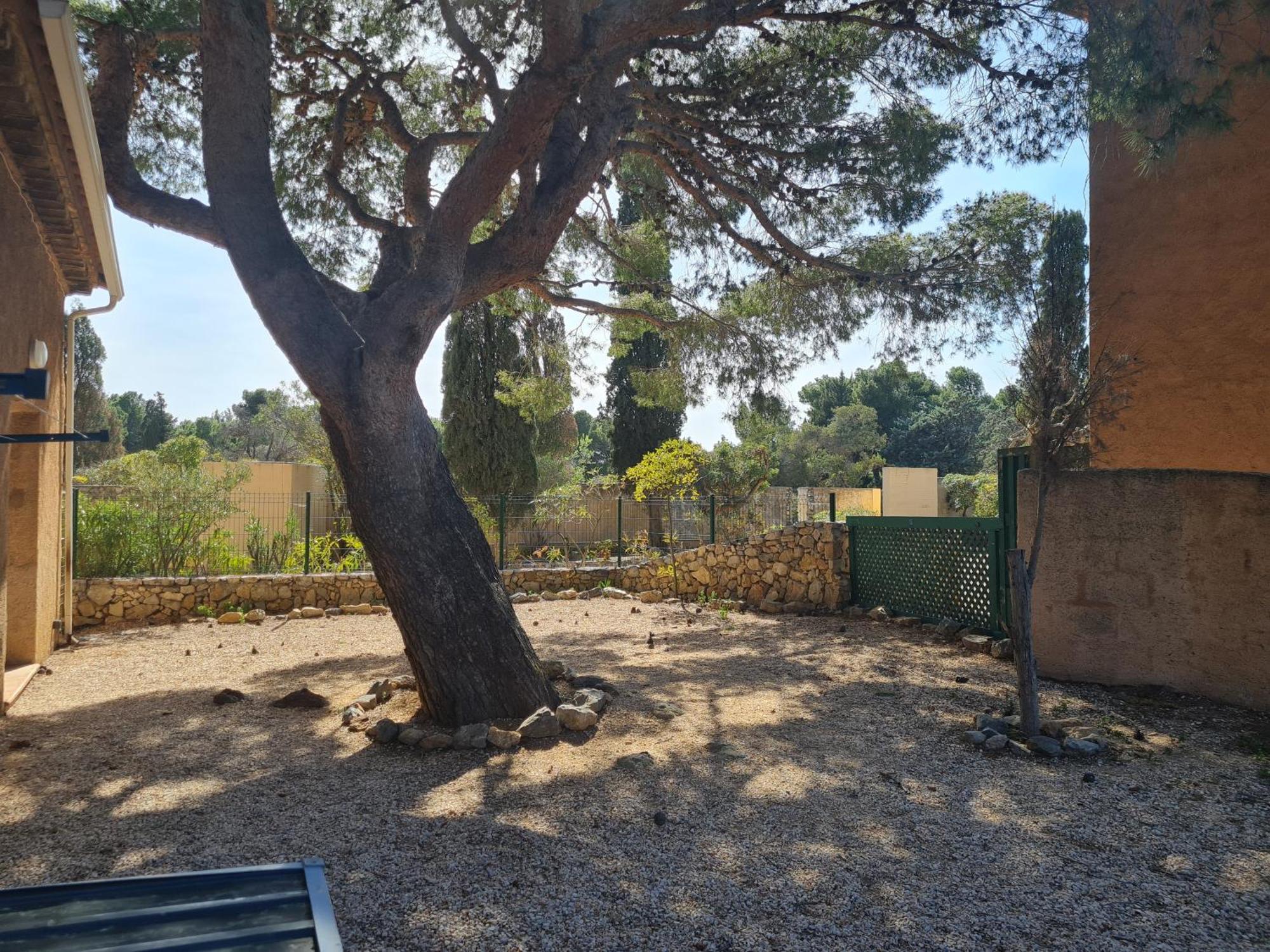 Paisible Maison A L'Ombre Des Pins Fitou Εξωτερικό φωτογραφία